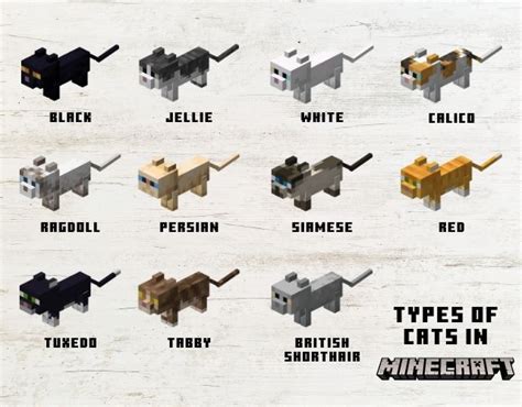 How to make cats breed in minecraft
