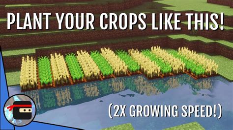 How to make crops on minecraft
