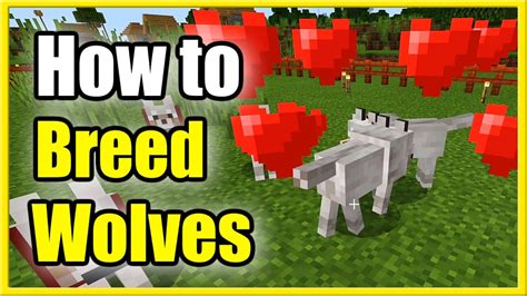 How to make dogs mate in minecraft
