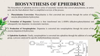 How to make ephedrine.  The process involves multiple steps, including the extractio...