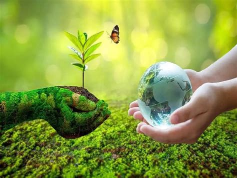 How to make flying more environmentally friendly