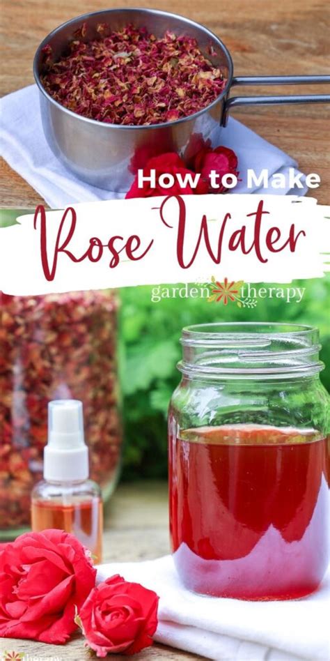 How to make rose water. Instructions: Place the white sugar, 1 ½ cups rose water and salt in a saucepan (optional - add the corn syrup if using as well). Stir to combine and allow the sugar to dissolve over medium heat. When the sugar has dissolved, let the syrup come to a simmer, and simmer for 5 - 7 minutes. 
