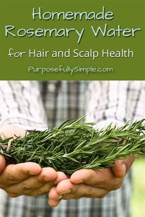 How to make rosemary water. Rosemary Water May Hydrate the Hair. According to Henry, there isn’t much validity in the claim that rosemary water hydrates the hair. “Rosemary itself doesn't have inherent hydrating ... 