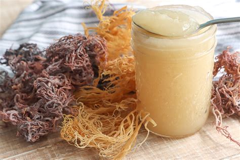 How to make sea moss gel. Things To Know About How to make sea moss gel. 