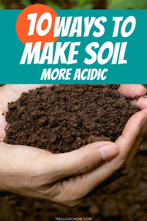 How to make soil more acidic. Using Vinegar on Soil. To lower the pH level of soil and make it more acidic, vinegar can be applied by hand or using an irrigation system. For a basic treatment, a cup of vinegar can be mixed with a gallon of water and poured over soil with a watering can. According to the Vinegar Institute, this is ideal for plants like azaleas and rhododendrons. 