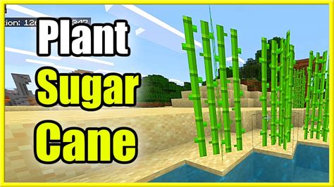 How to make sugar canes in minecraft