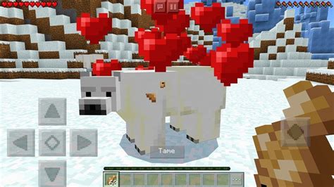 How to mate polar bears in minecraft