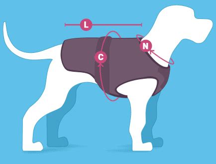 How to measure a dog for a coat PetsRadar