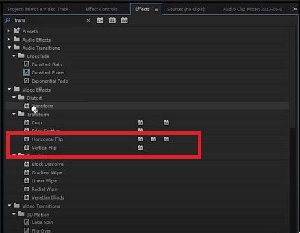 How to mirror a video in premiere