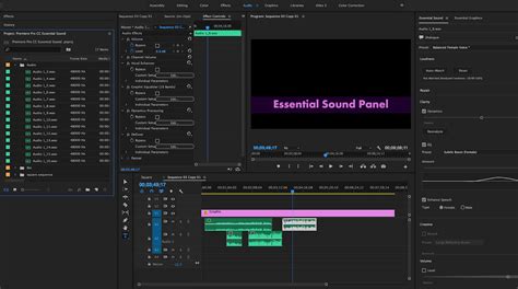 How to mix audio in premiere pro
