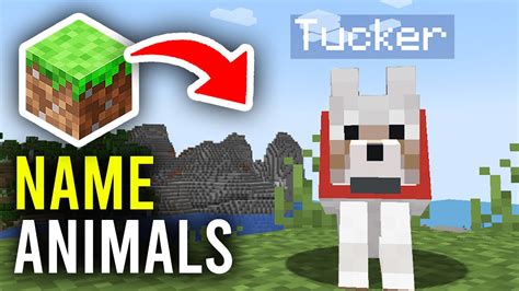 How to name an animal in minecraft