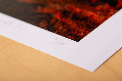 How to number open edition prints.  Whatever happens, there will be no Discover t...