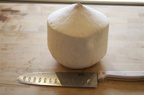 How to open a coconut. Things To Know About How to open a coconut. 