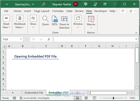 How to open embedded file in excel