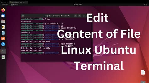 How to open file in terminal ubuntu.  You can easily open file in text...