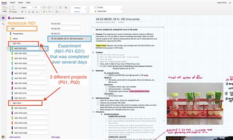 How to organize a lab notebook.  You should always check with your PI ...