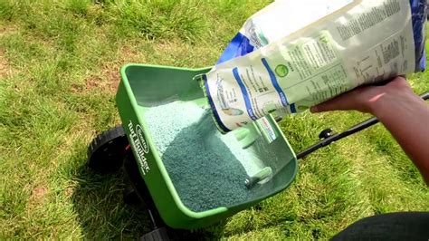 How to overseed a lawn. Things To Know About How to overseed a lawn. 