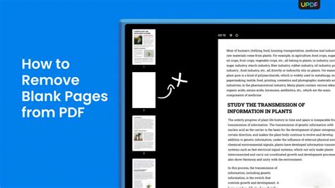 How to page break in pdf