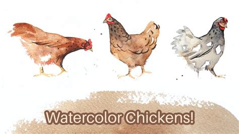 How to paint a chicken in watercolors