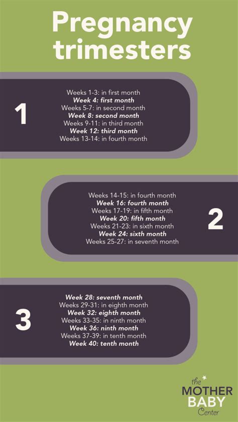 How to pass time in first trimester