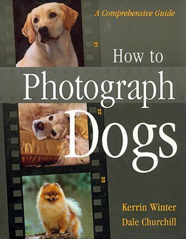 How to photograph dogs a comprehensive guide. - Amsco algebra 2 and trigonometry answers for textbook.