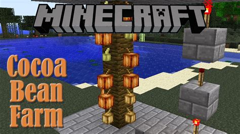 How to place cocoa beans in minecraft