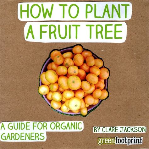 How to plant a fruit tree a guide for organic gardeners green footprint organic gardening book 2. - Los descendientes narrativa la isla de los perdidos.