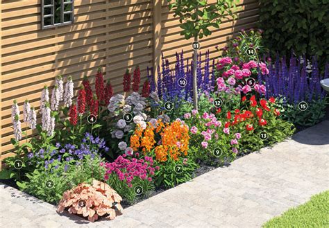 How to plant a mixed border - Thompson and Morgan