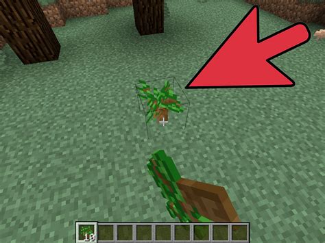 How to plant a tree minecraft