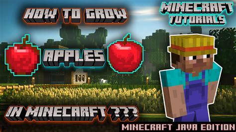 How to plant apples in minecraft