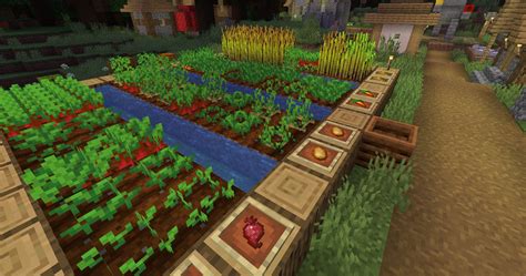 How to plant crops in minecraft