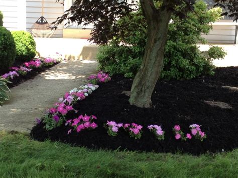 How to plant flowers in mulch