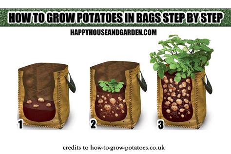 How to plant potatoes in a bag