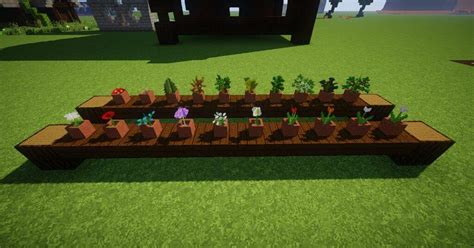 How to plant things in minecraft