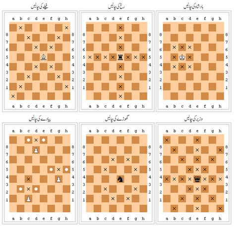 How to play shatranj in urdu