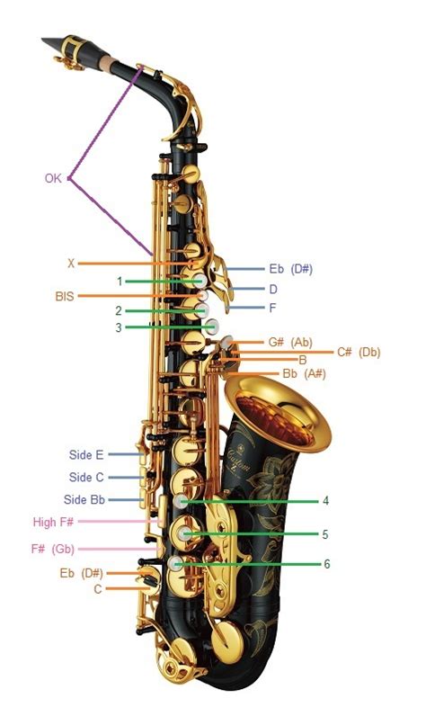 How to play the saxophone a complete beginner s guide. - 7th grade civics eoc study guide answers 133952.