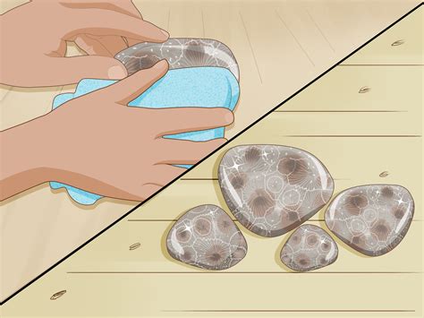 How to polish petoskey stones. The Petoskey stone is the fossilized remains of a type of colony coral that lived during the Devonian Period (about 350 million years ago). Northern Michigan was covered with a shallow marine sea, which favored the growth of many types of coral. Each cell represents a tube in which a small animal lived, waving its tentacles to secure food. 