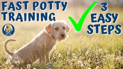 How to potty train in a week