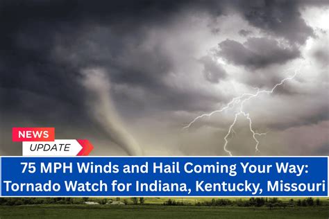 How to prepare for 75 mph winds