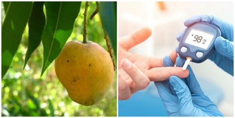 How to prepare mango leaves for diabetes - Nigerian Health Blog