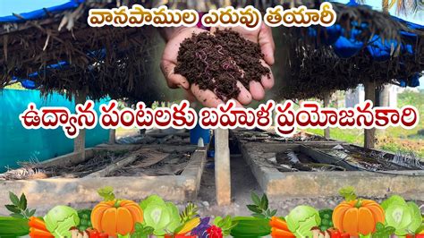 How to prepare vermicompost in telugu