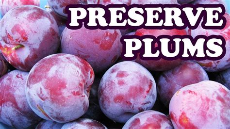 How to preserve plums in freezer