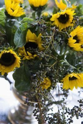 How to preserve sunflowers in a vase