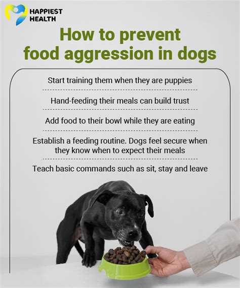 How to prevent food aggression in puppies