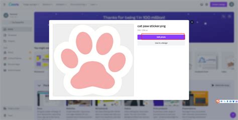 How to print paw labels MUNBYN Help Center