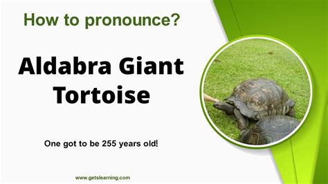 How to pronounce Aldabra - Definitions.net