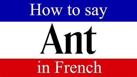 How to pronounce Ant in French HowToPronounce.com