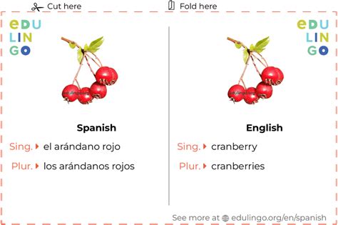 How to pronounce cranberry in Spanish HowToPronounce.com