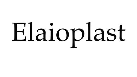 How to pronounce elaioplast - Definitions.net