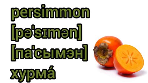 How to pronounce persimmon in English JustPronounce